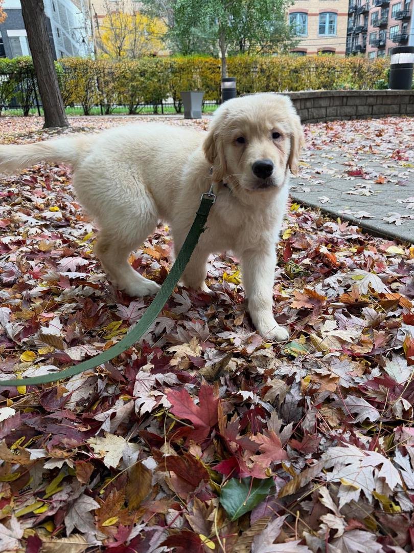 WhatsApp Image 2025-11-29 at 4.22.03 AM (1)