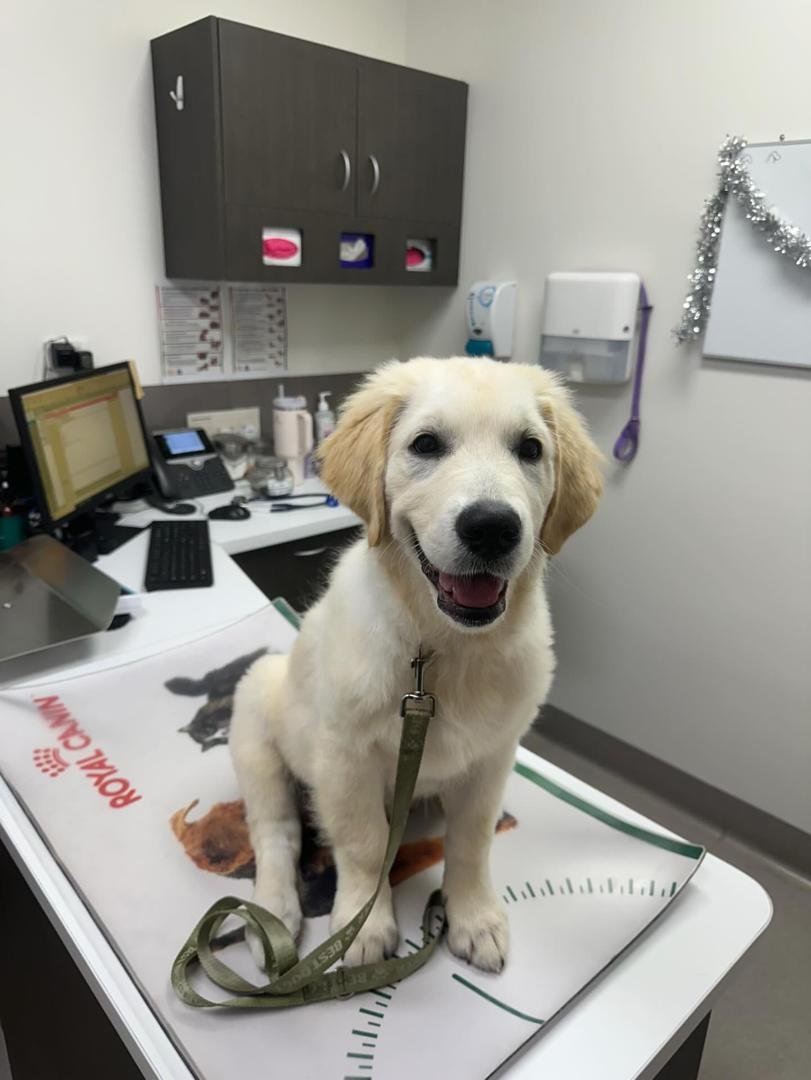 WhatsApp Image 2025-11-29 at 4.22.08 AM