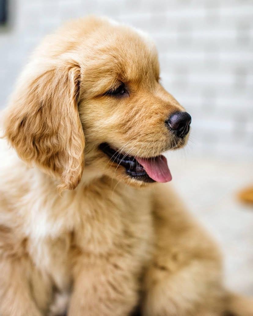 WhatsApp Image 2025-11-29 at 4.22.10 AM (3)