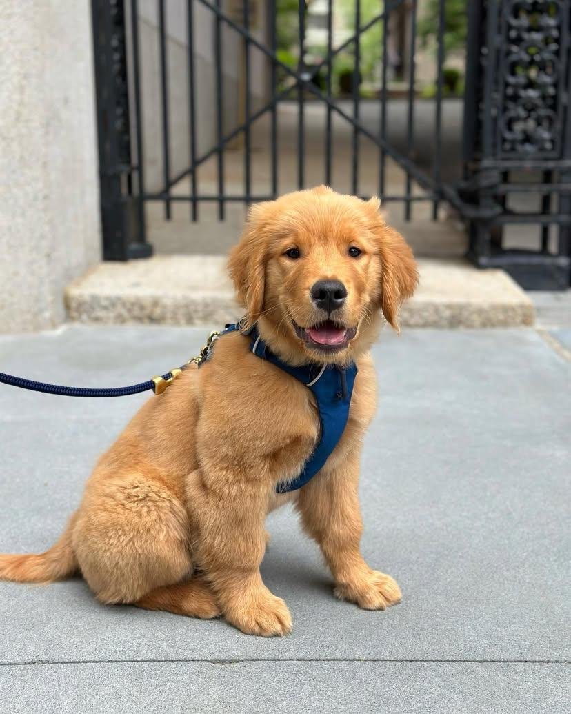 WhatsApp Image 2025-11-29 at 4.22.47 AM (2)