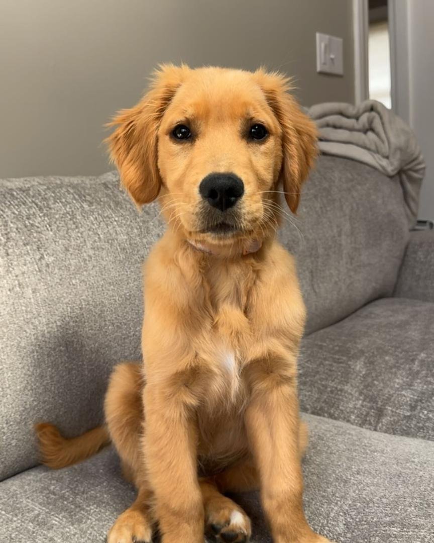 WhatsApp Image 2025-11-29 at 4.22.50 AM (5)