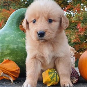 Charlie